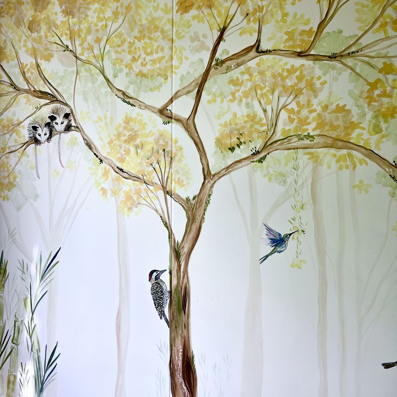 Bosque — foto 6