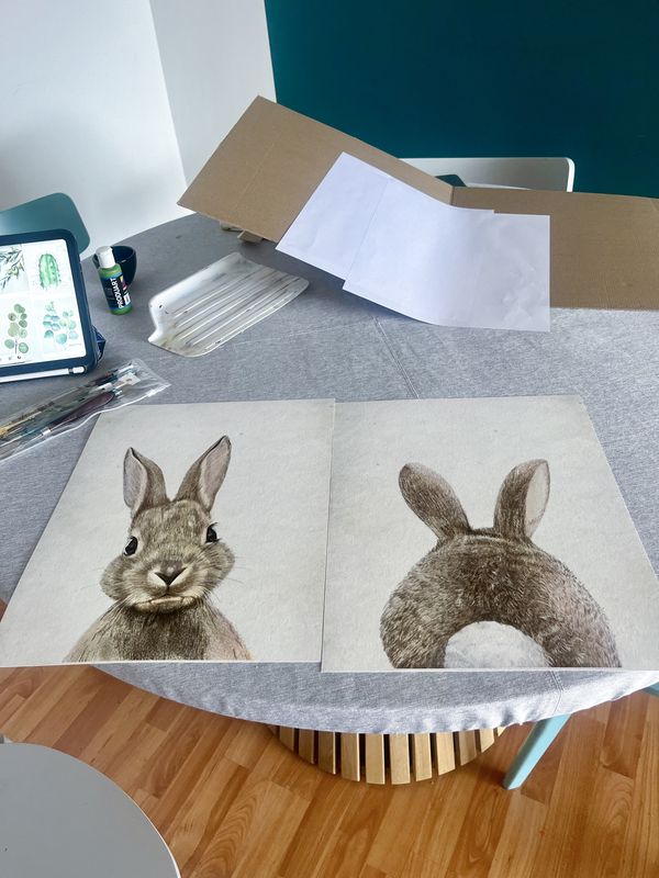 Conejitos — foto 1