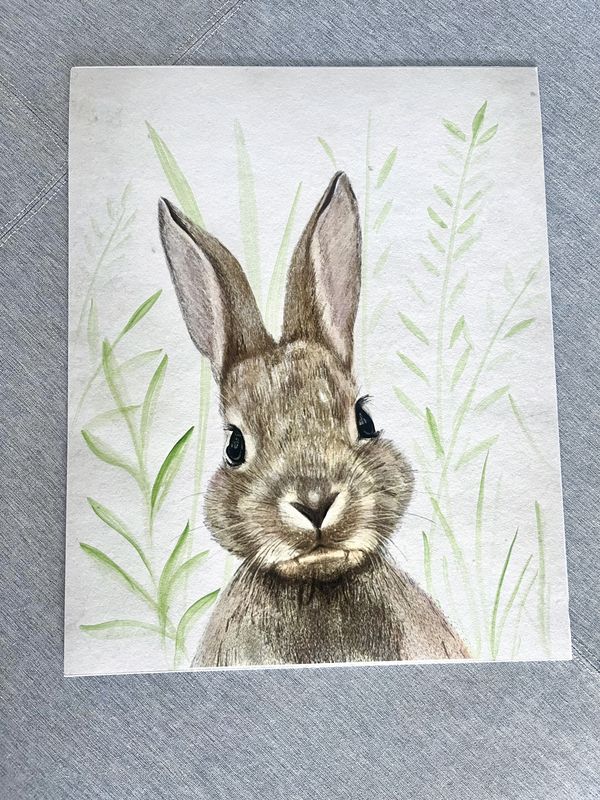Conejitos — foto 2