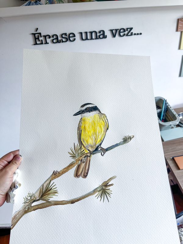 Pájaros en acuarela — foto 10