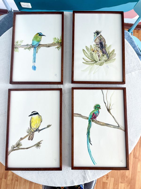 Pájaros en acuarela — foto 16