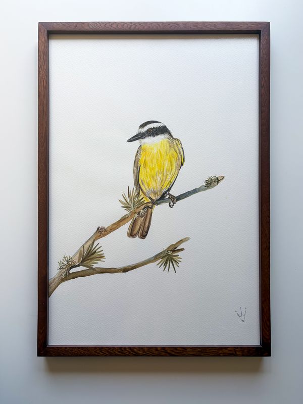 Pájaros en acuarela — foto 17