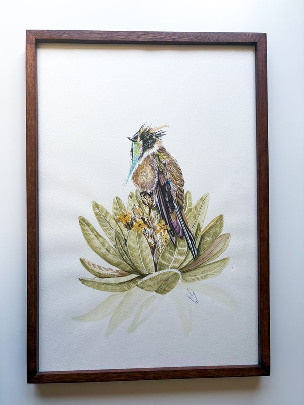 Pájaros en acuarela — foto 2