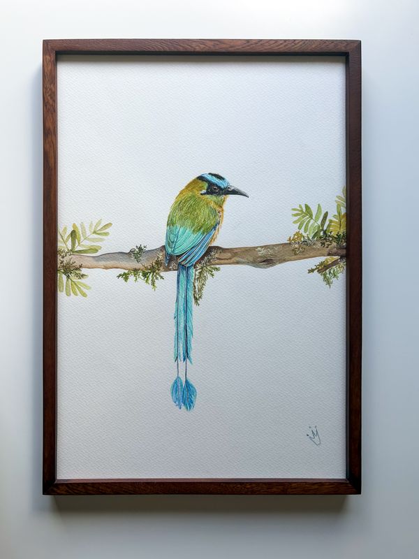 Pájaros en acuarela — foto 6